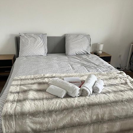 Appartement Luxueux Au Coeur De Lille Extérieur photo