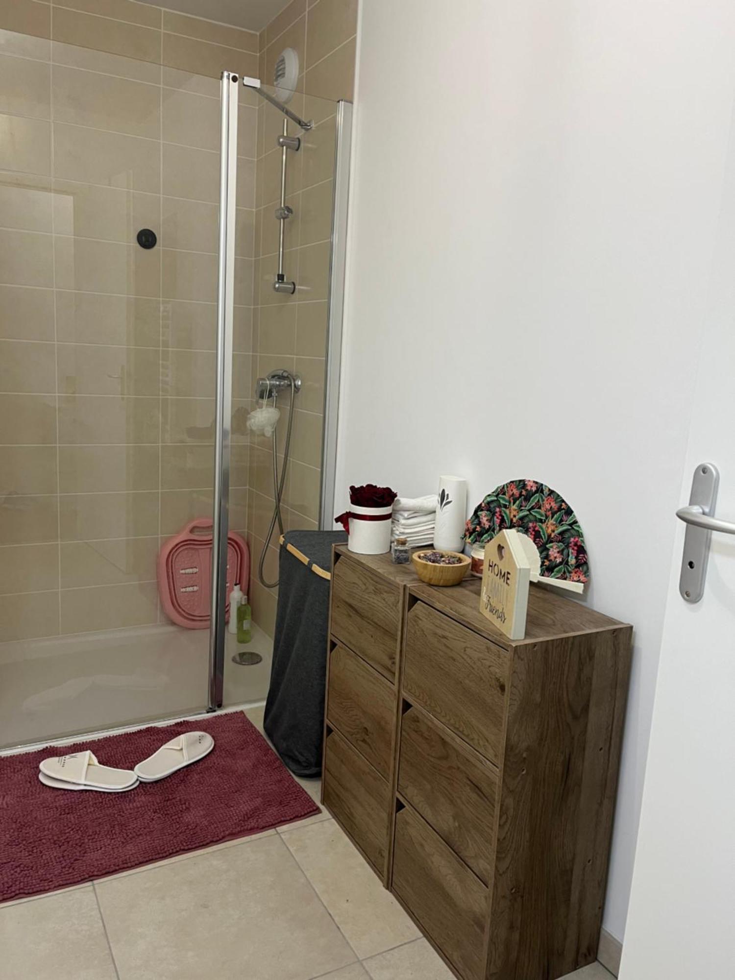 Appartement Luxueux Au Coeur De Lille Extérieur photo