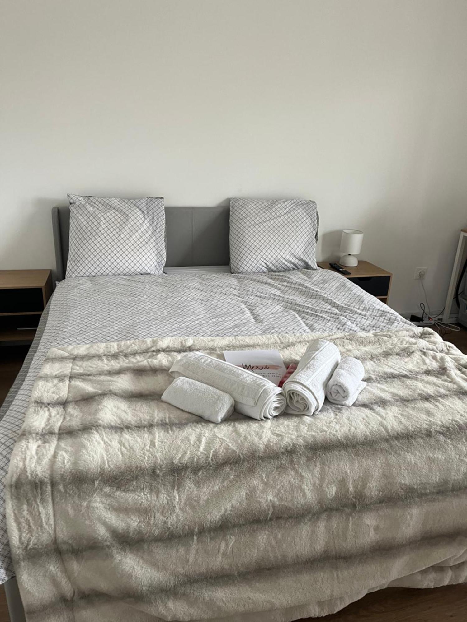 Appartement Luxueux Au Coeur De Lille Extérieur photo